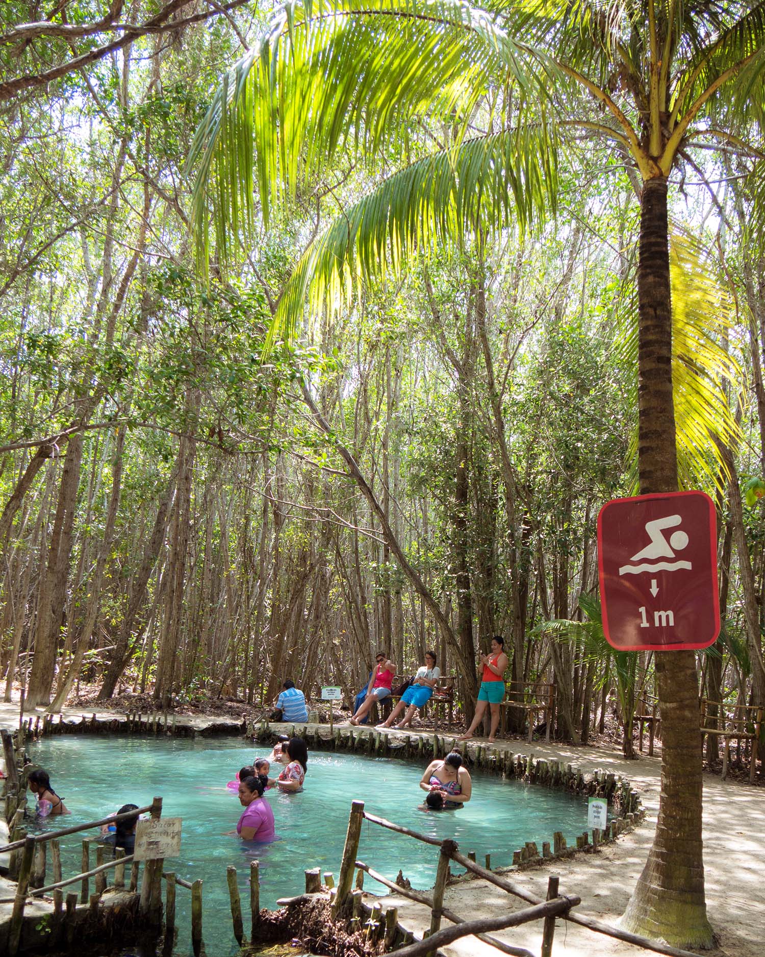 El Corchito - Cenotes near Progreso, Yucatan