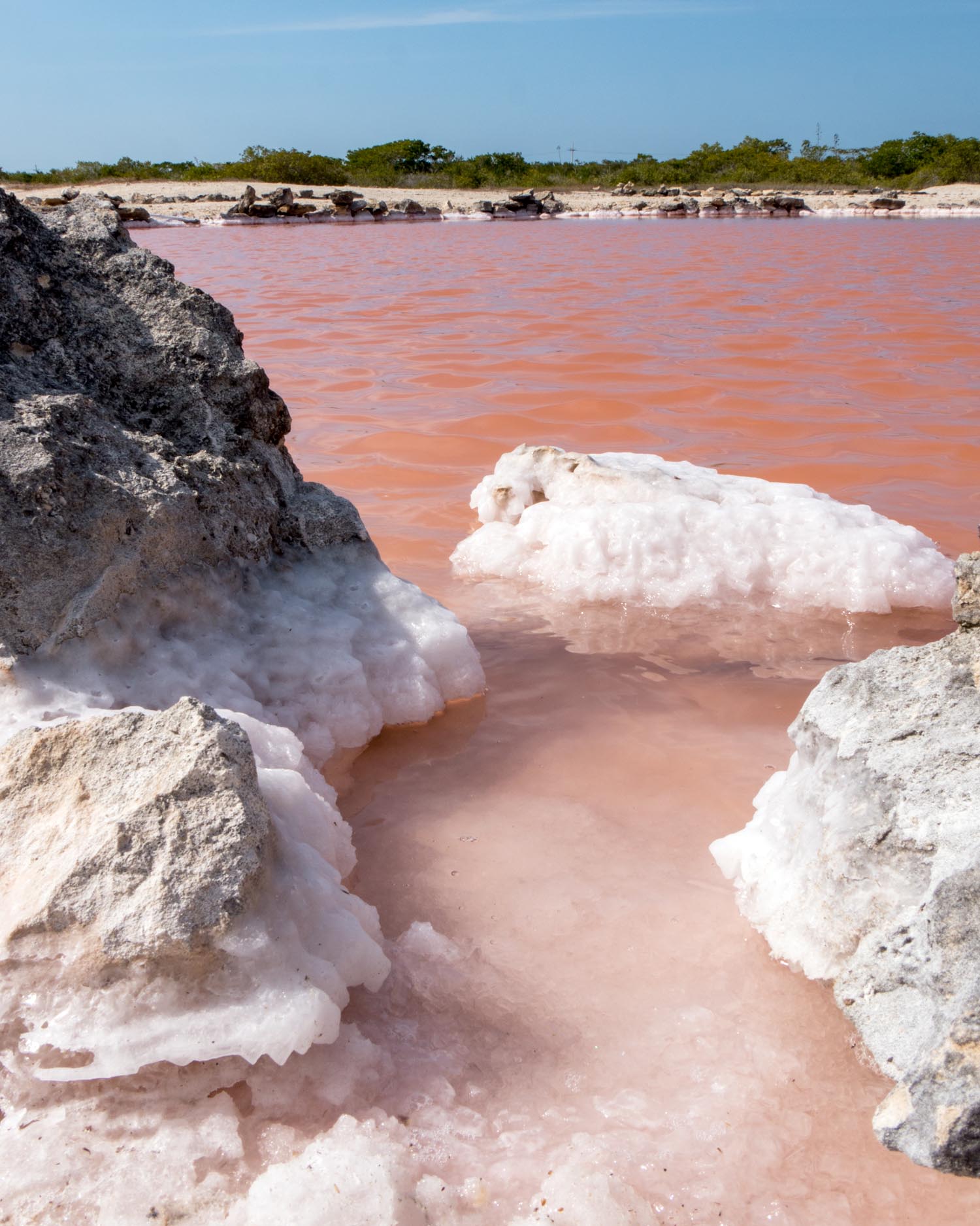 Day Trips From Merida - Pink Salt Flats