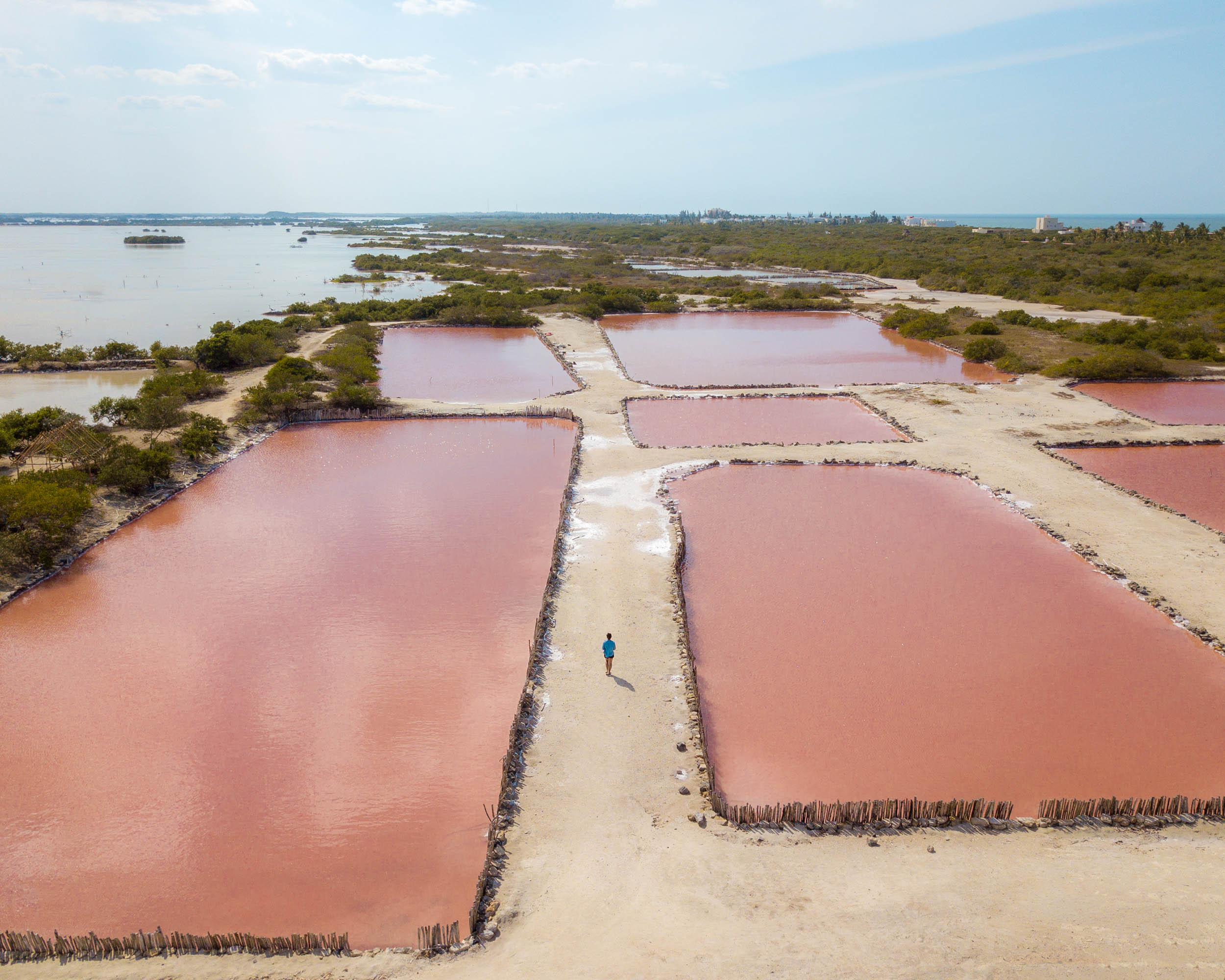 Pink salt flats near Progreso, Mexico