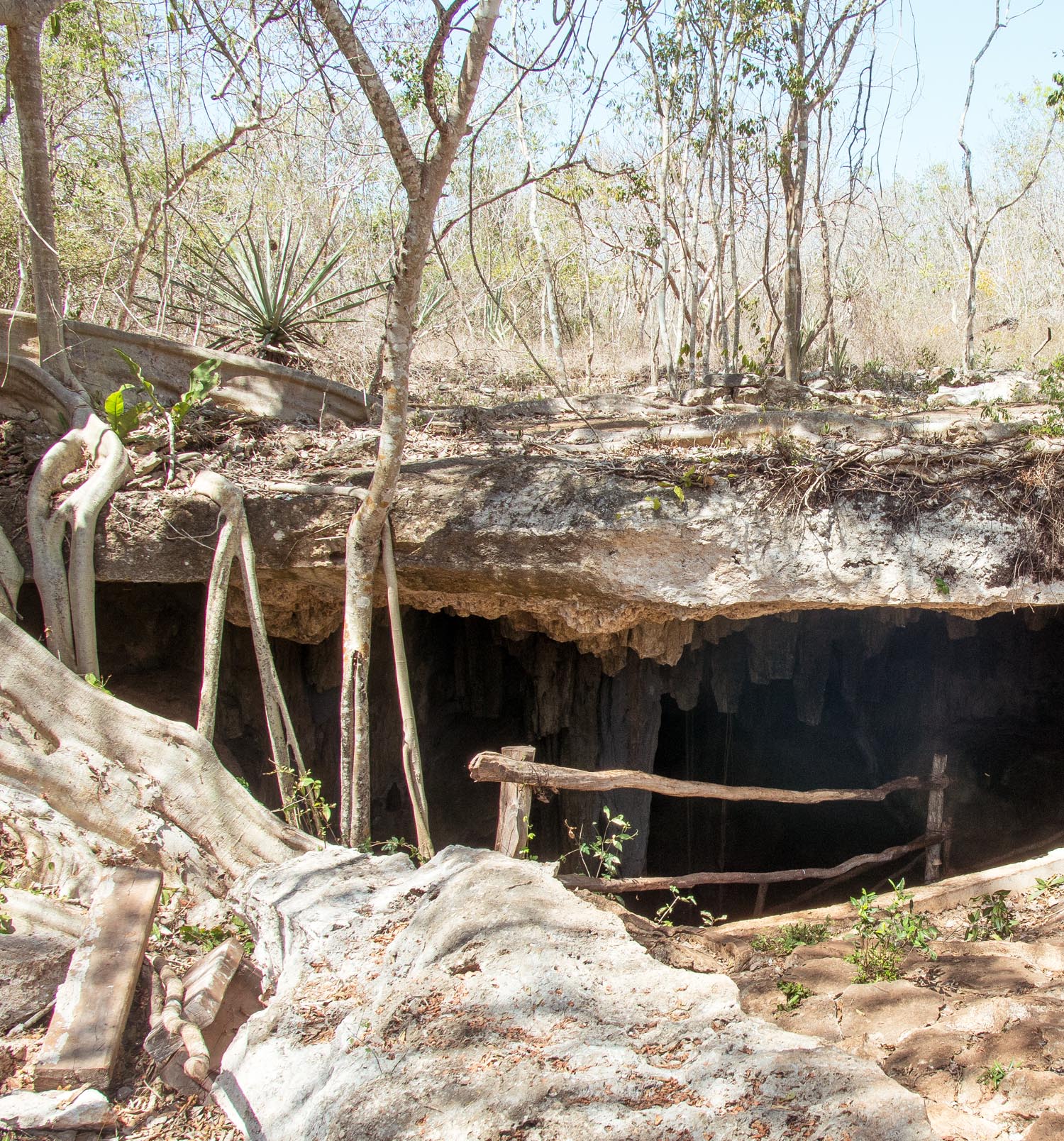Cuzama Cenotes X'tohil