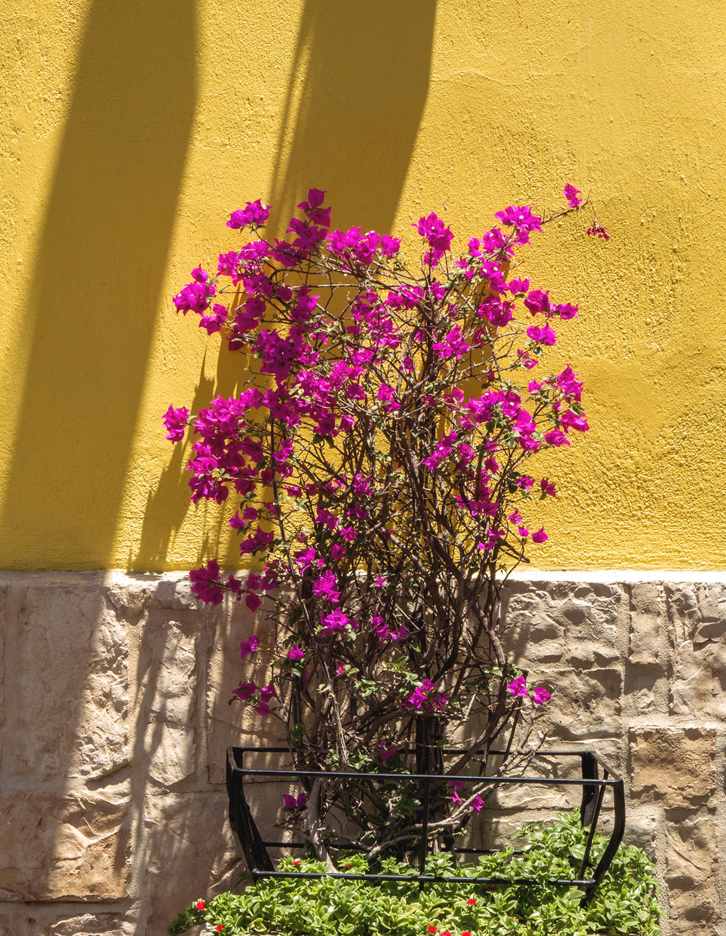 Things to do in Tlaquepaque, Mexico