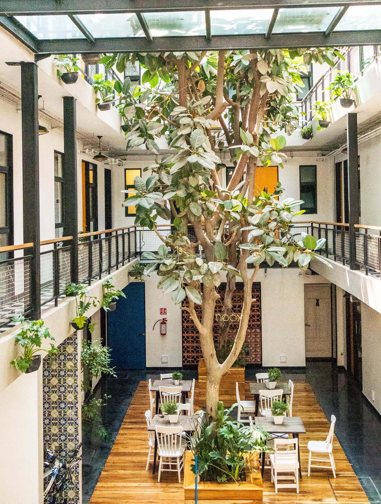 Mexico City Apartment Rentals