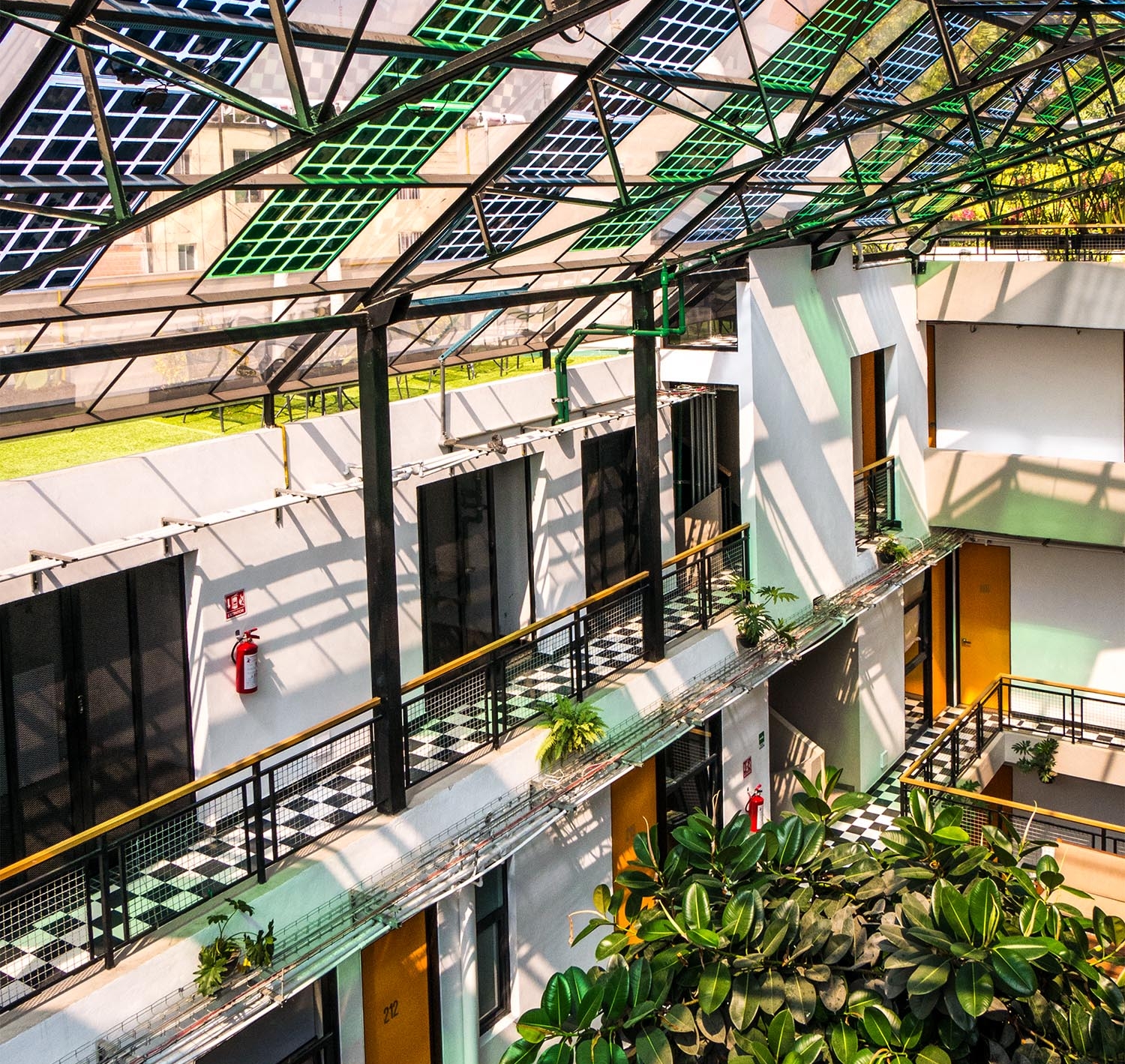 Our Lucky $300 Apartment Rental in Mexico City