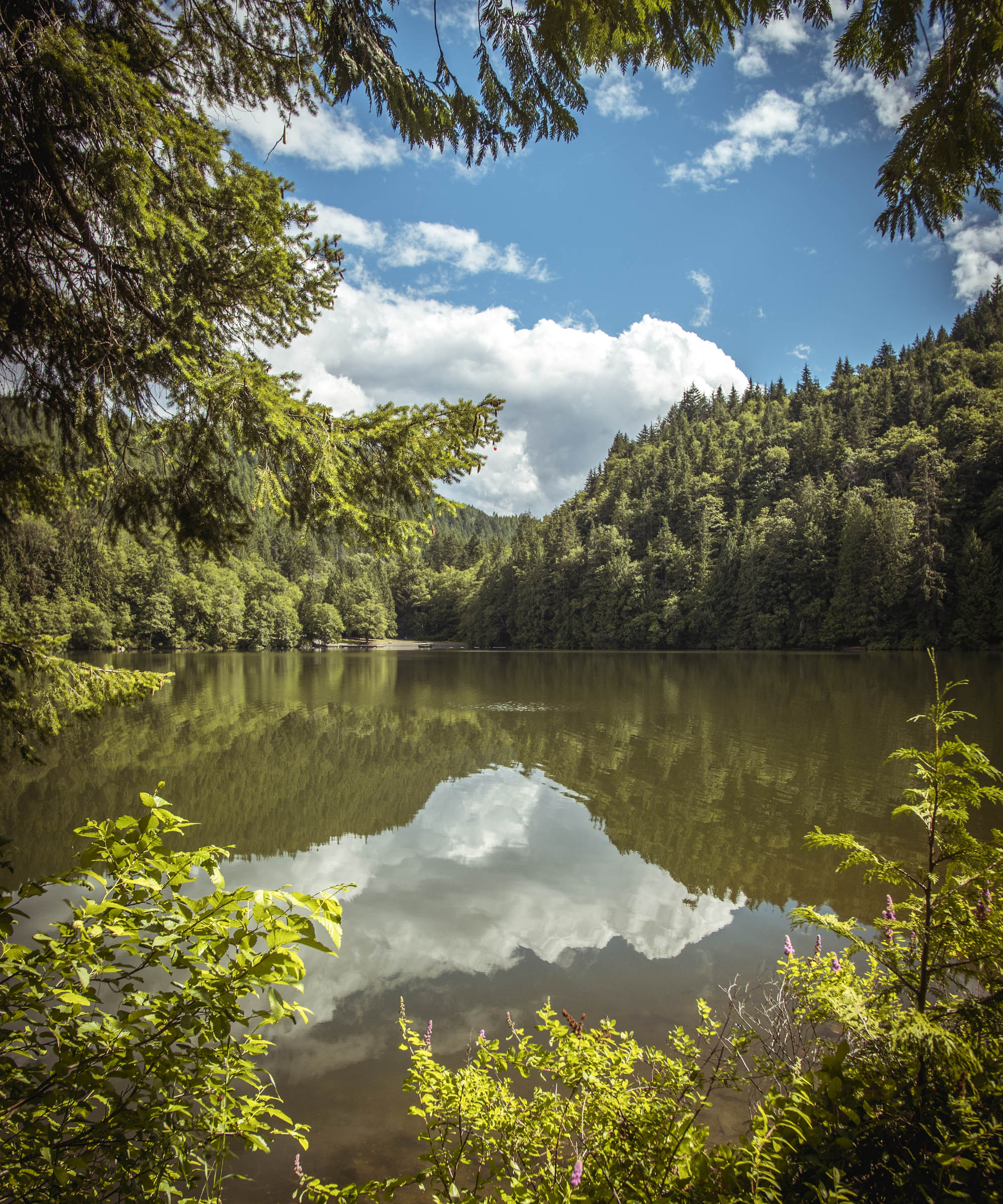 Alice Lake Provincial Park - Sea to Sky Highway Road Trip