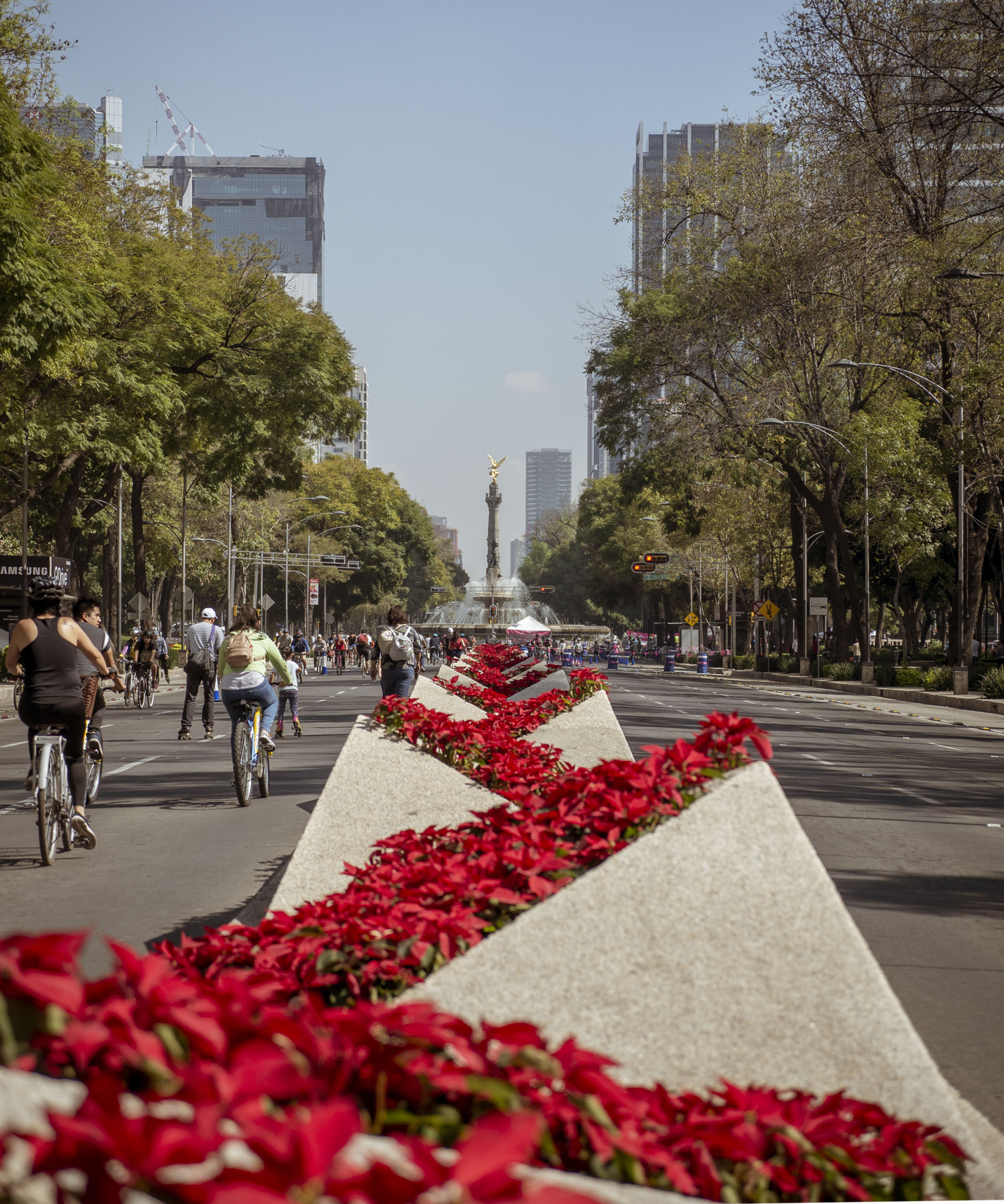 How to Enjoy a Free Sunday Morning Bike Ride in Mexico City