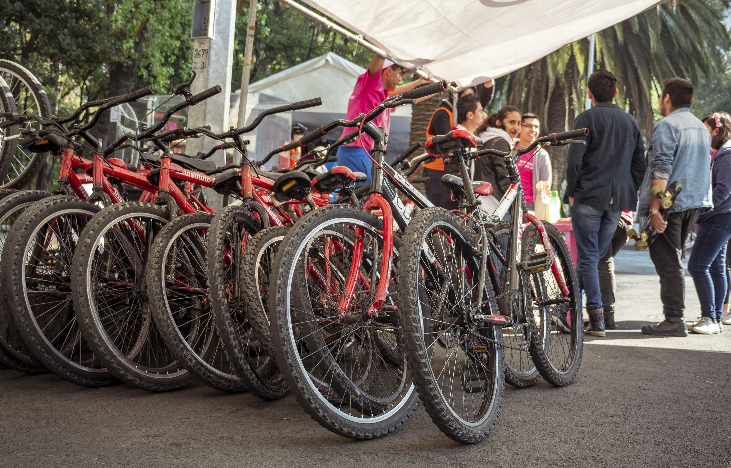 Free Sunday Bike Rides in Mexico City