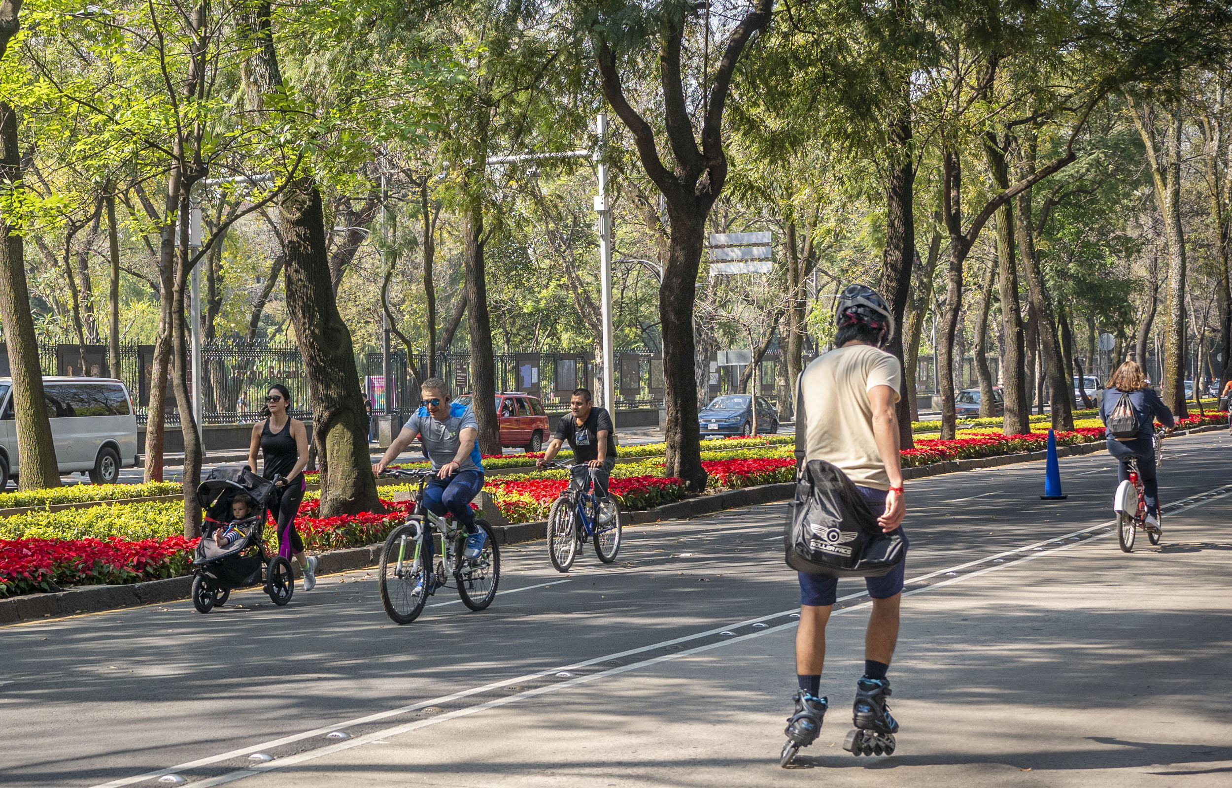 Sunday Bike Rides in Mexico City - Paseo de la Reforma