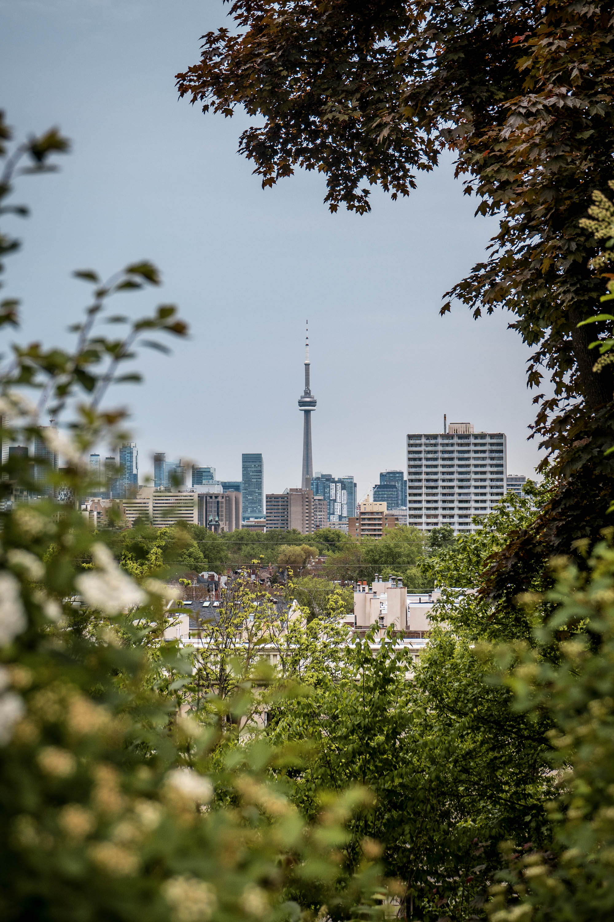 How to Make the Most of your Toronto CityPASS