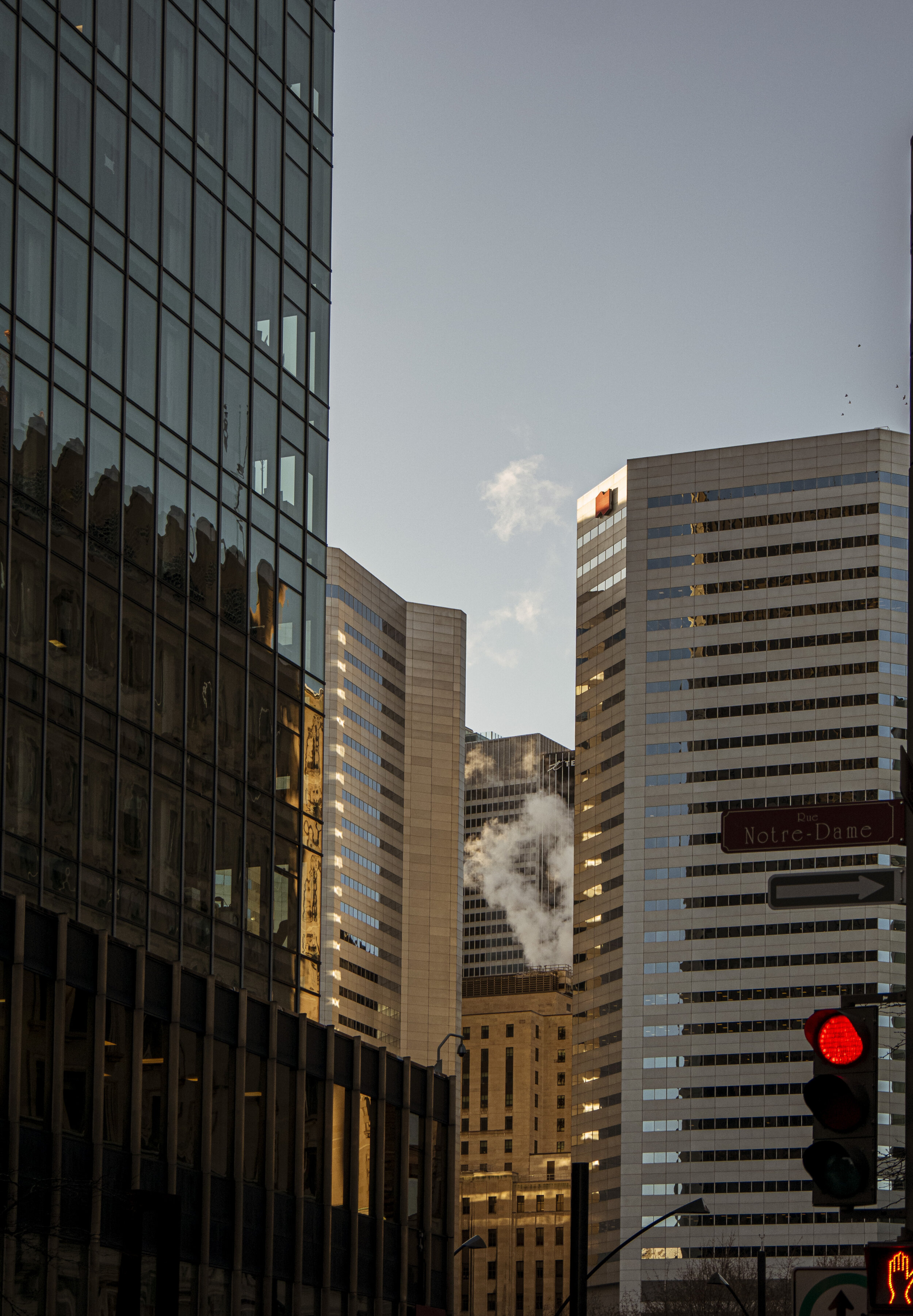 On New Beginnings and Moving to Montreal
