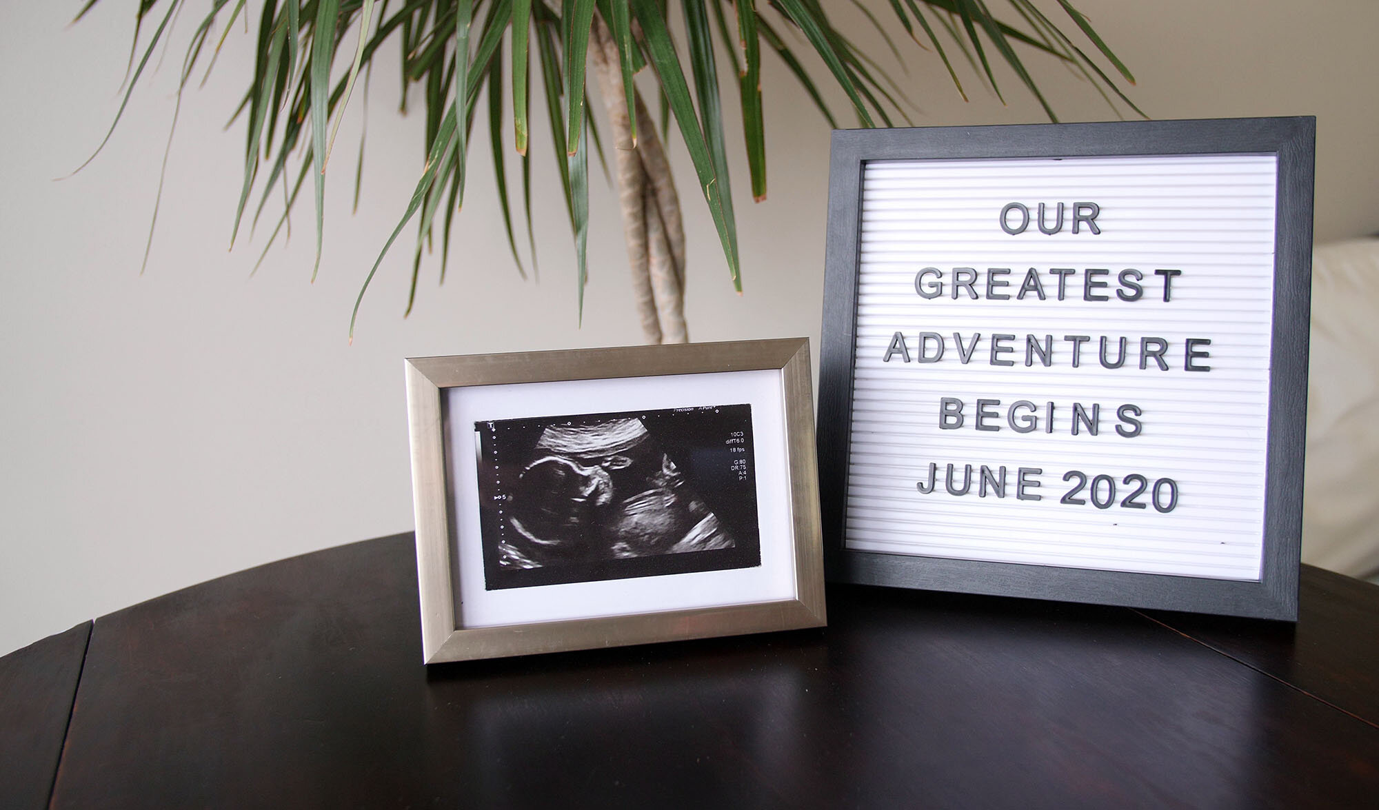 Our Greatest Adventure: Summer 2020